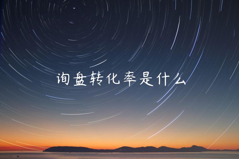 詢盤轉(zhuǎn)化率是什么